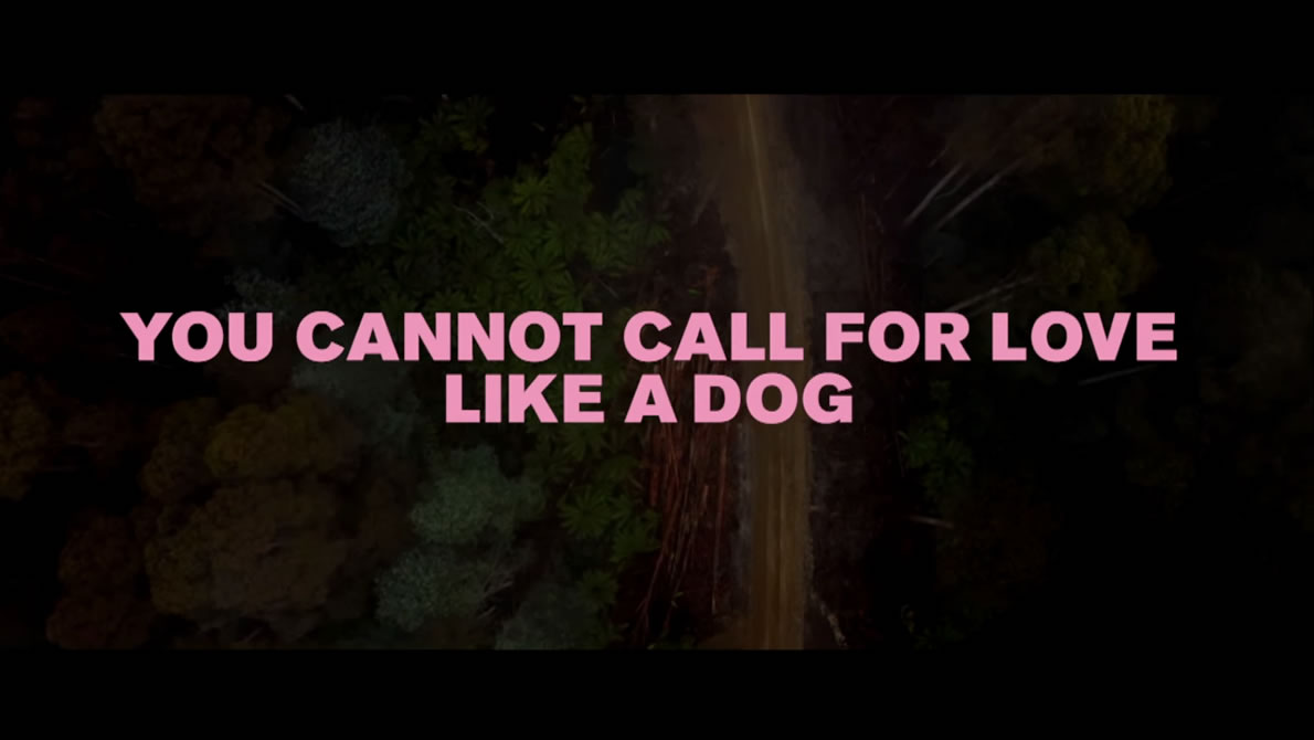 You Cannot Call for Love Like a Dog - Holy Holy