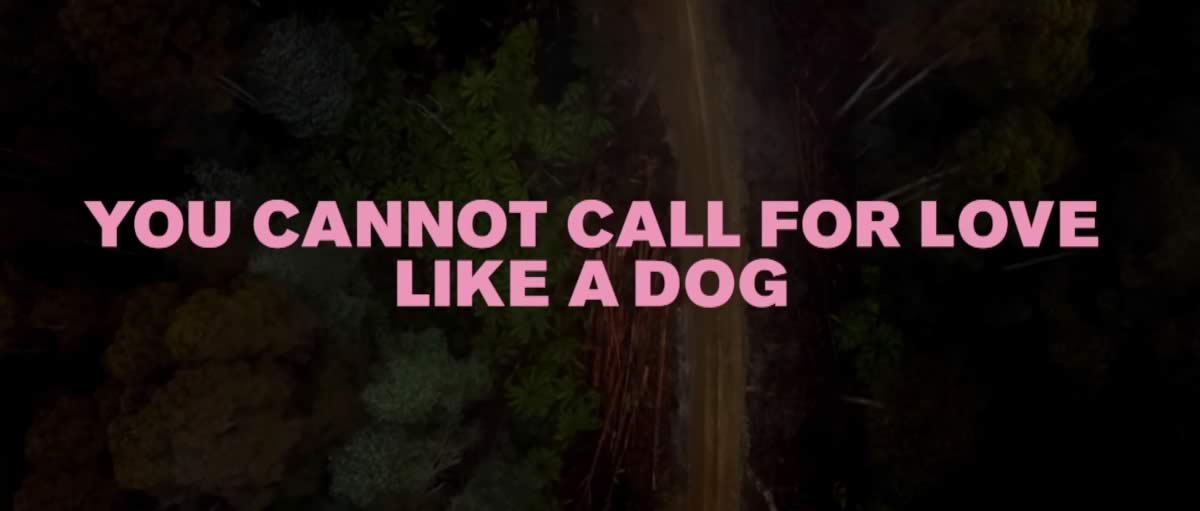 You Cannot Call for Love Like a Dog – Holy Holy